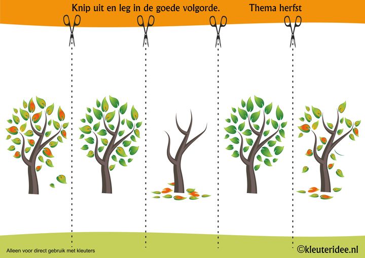Leg de plaatjes van de herfstboom in logische volgorde , kleuteridee.nl, sequence free printable.