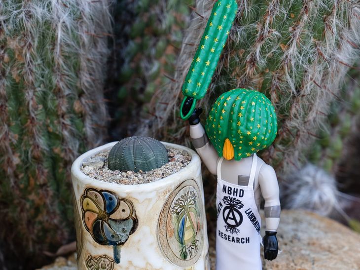 cactus man figurine and ceramic pot stand next to eachother in front of a cactus