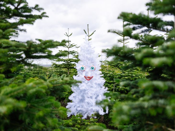 A fake white Christmas tree with a smiling face in a field of real Christmas trees