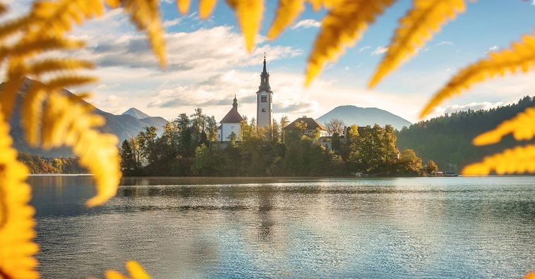 yellow fern leaves surrounding a white church on lake bled in slovenia