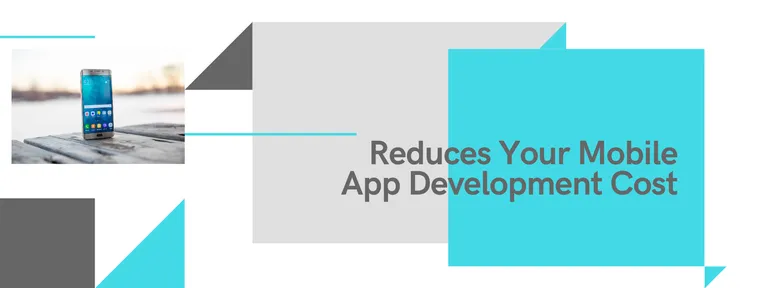 Mobile App Development Cost: How to Reduce with React Native in 2021