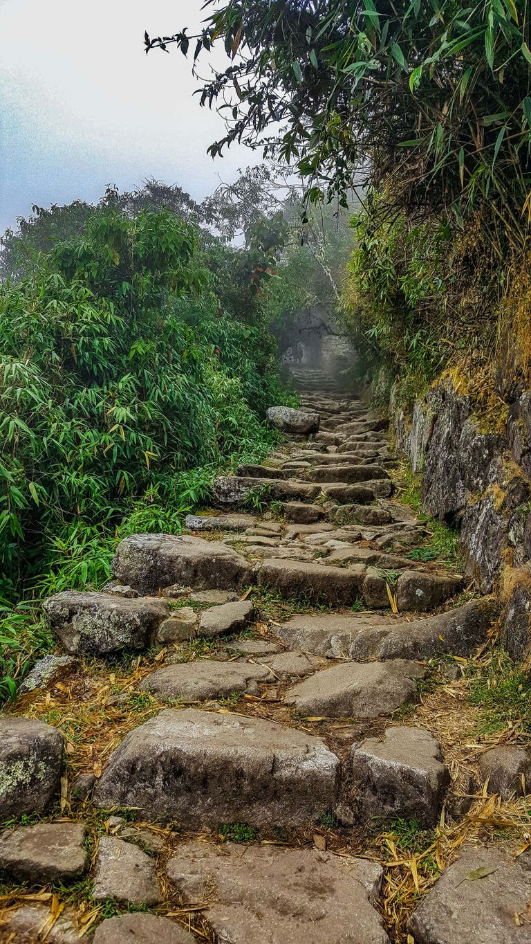A trail through the Peruvian mountainside.