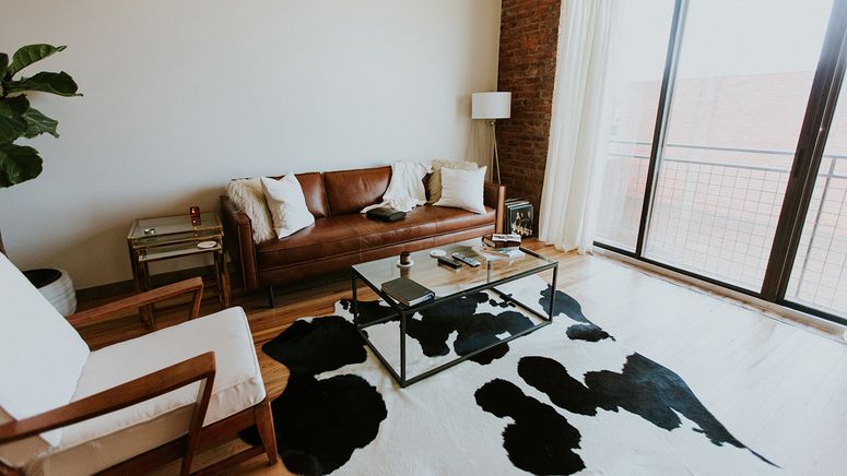 Switch home care providers- Interiors photo of a brown leather lounge, white seat and cow print rug in a modern white lounge room