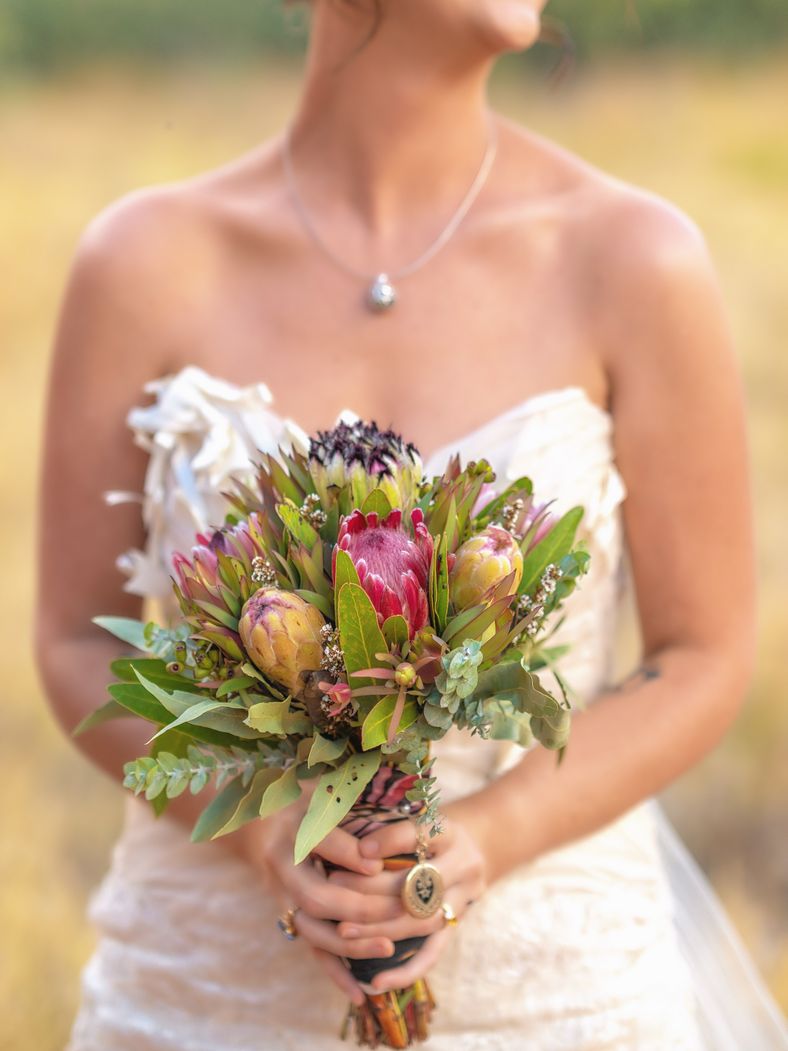 Kimberley & Daniel - 8708