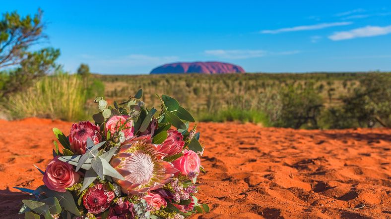 Alicia & Wade - 8612