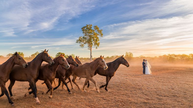 Annabel & Tom - 9178