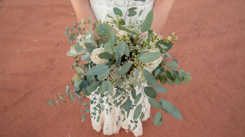 Meg and Lucas-1112 (1)