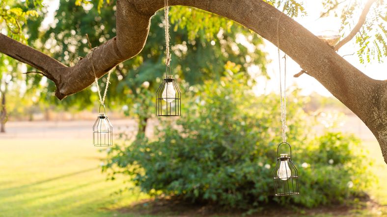 Annabel & Tom - 9106