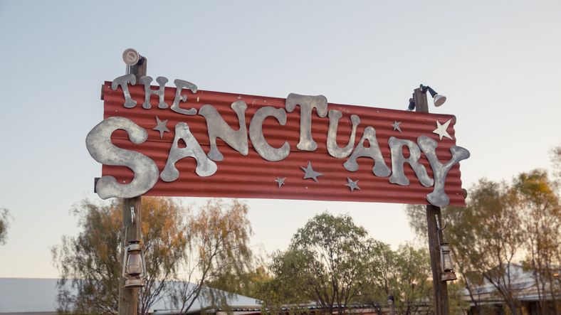 Meg and Lucas-1134 (1)