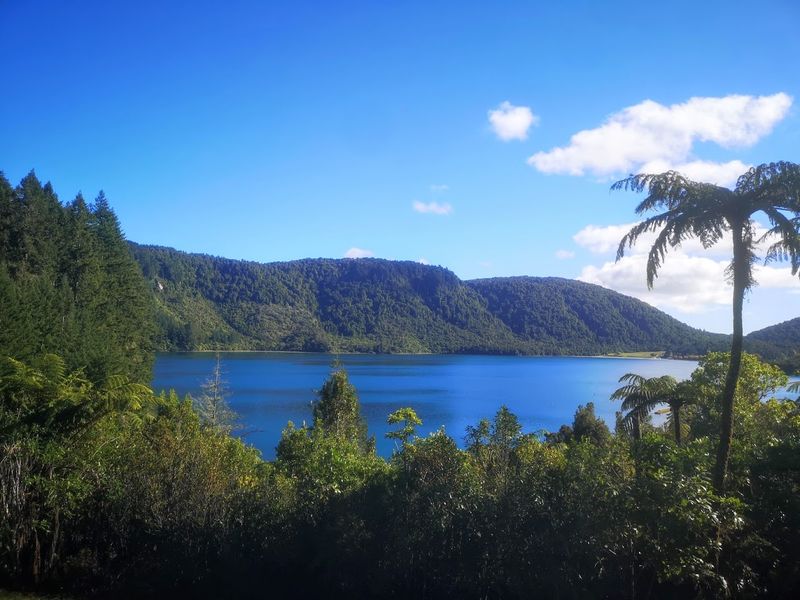 The Blue Lake in Rotorua, New Zealand