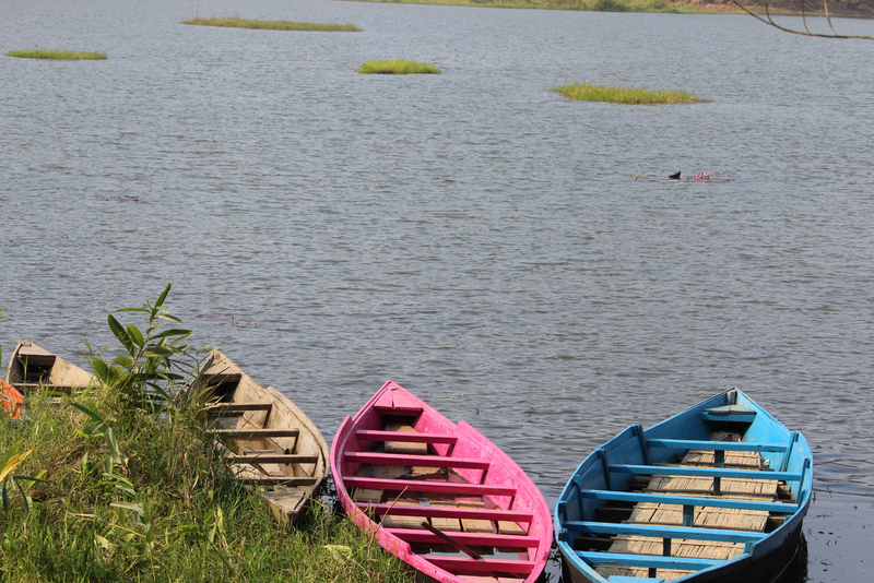 Colourful boats on Chandubi Lake in Guwahati, India