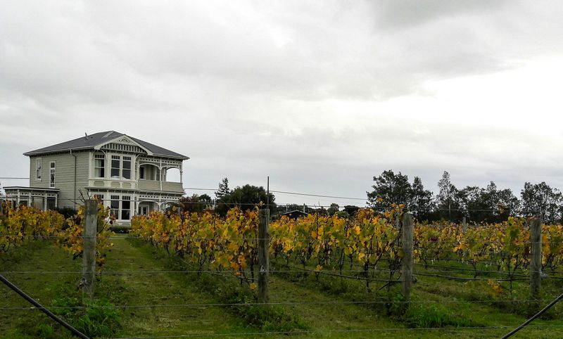 A B&B in the vineyards in Martinborough, New Zealand