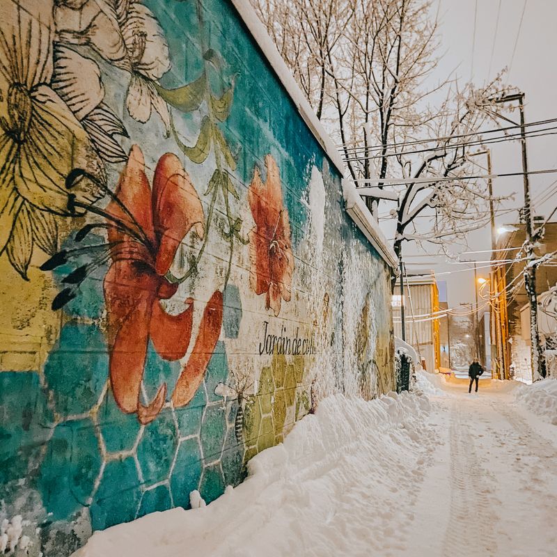 A beautiful mural in Montreal, Canada