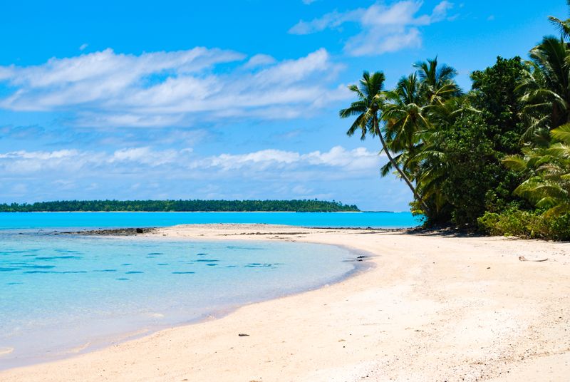 Palm trees by the lagoon on One Foot Island in the Cook Islands