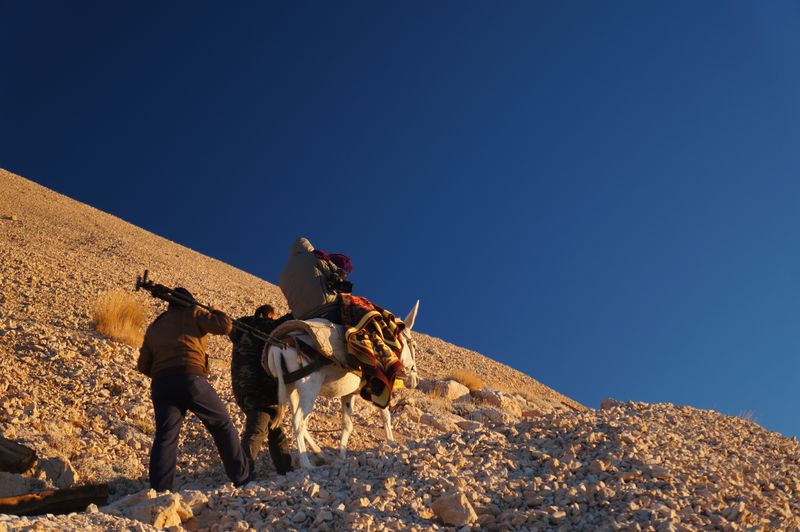A donkey making its way to the summit of Mount Nemrut