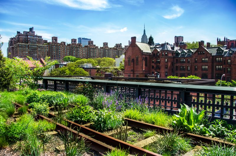 The High Line in Chelsea, New York City