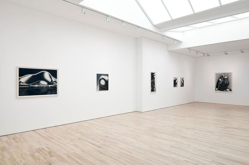 installation view of a series of monochrome paintings hung on white walls