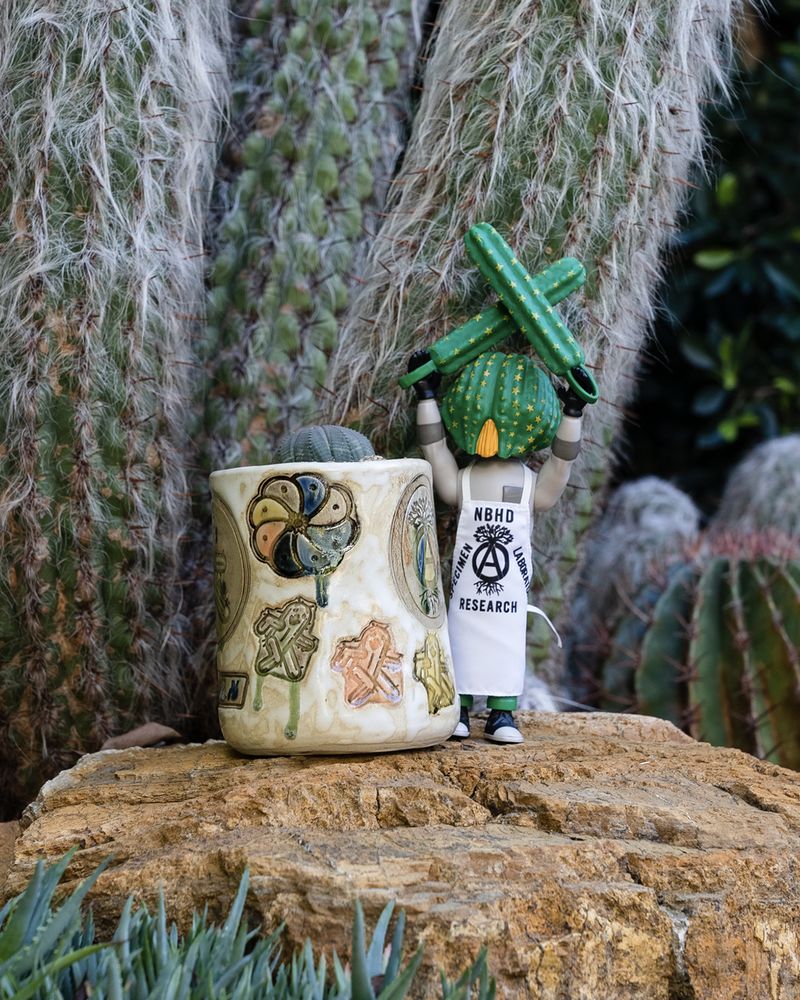 ceramic pot and cactus man figurine in garden next to cacti