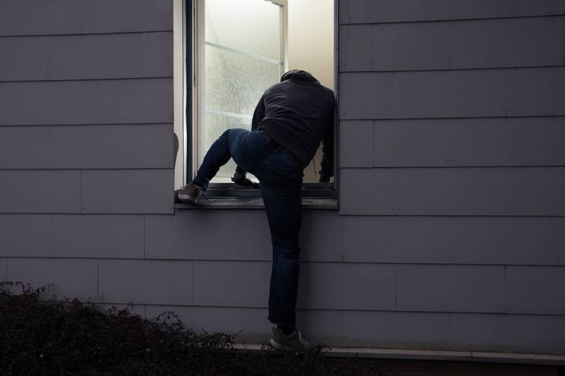 Drahý obraz si můžete připojistit v rámci druhého pojištění domácnosti - Zloděj leze do okna