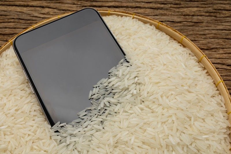 mobil-rýže