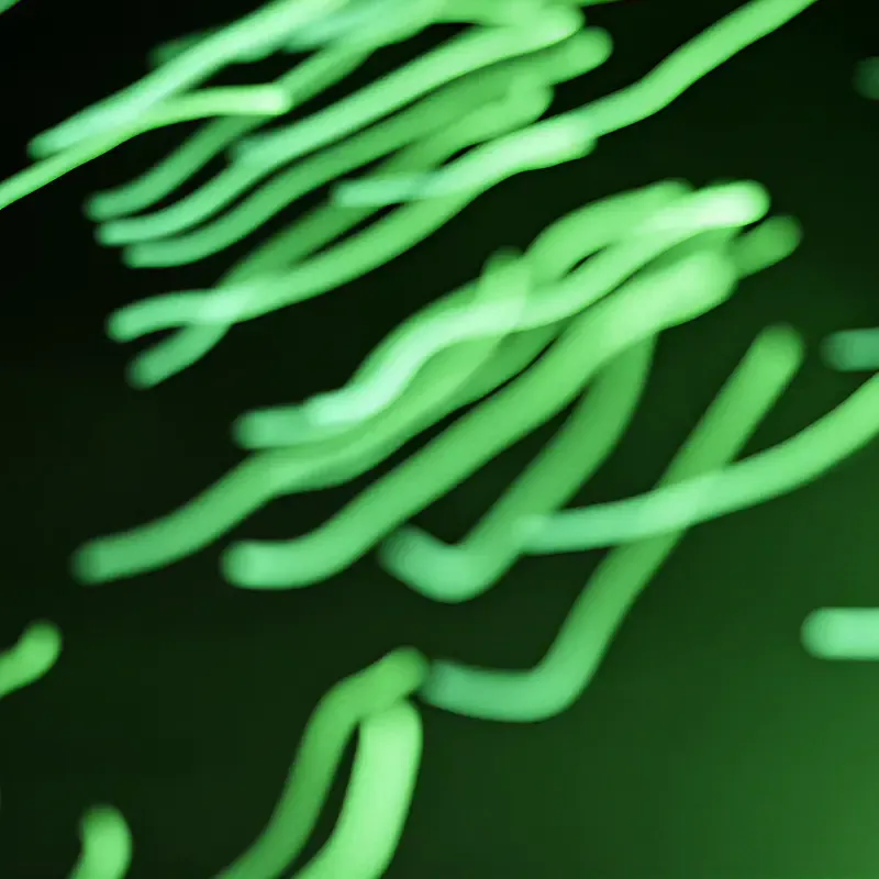 Abstract background of green neon light, from the Sound of Colgate campaign