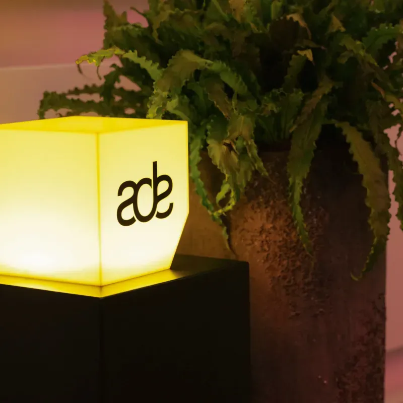Illuminated ADE cube lamp beside a fern at Amsterdam Dance Event