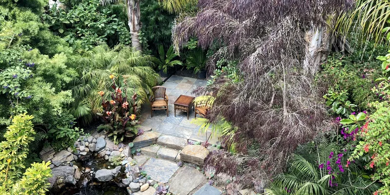 San Francisco green zen garden with Koi fish pond and chairs and table
