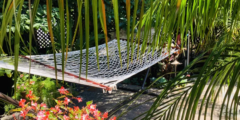 Zen garden hammock with green plants and red flowers around it