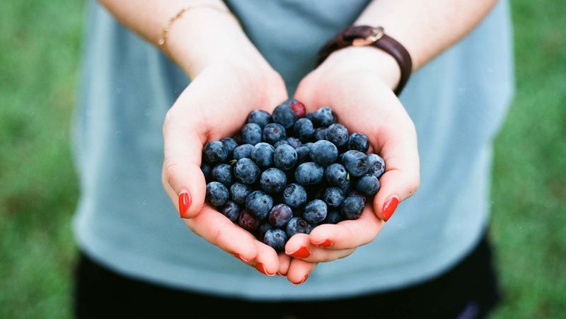 Girl with a handful of blueberries