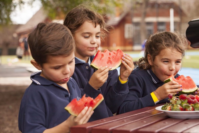 Kids enjoying watermelons at OSHClub healthy eating