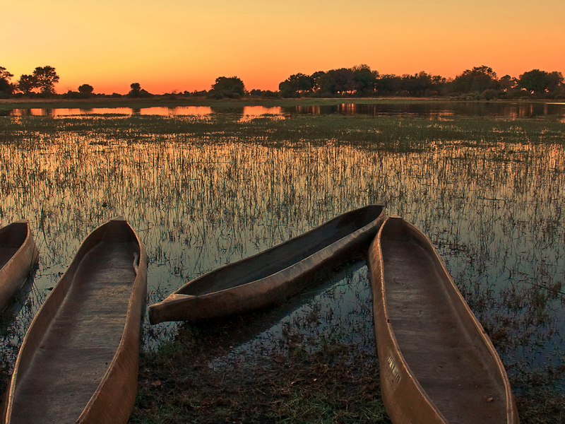 wooden canoes docked on okavango delta river in botswana at sunset