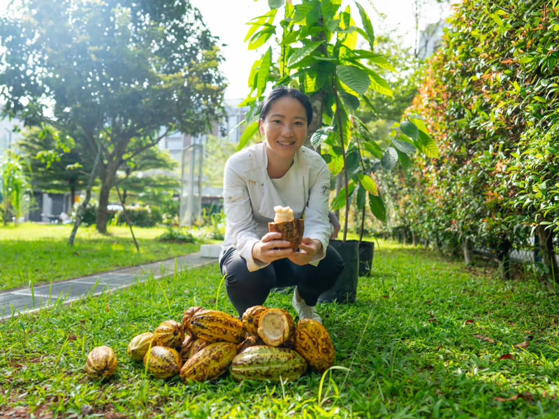 Janice Wong plants 1,000 cacao trees in Singapore
