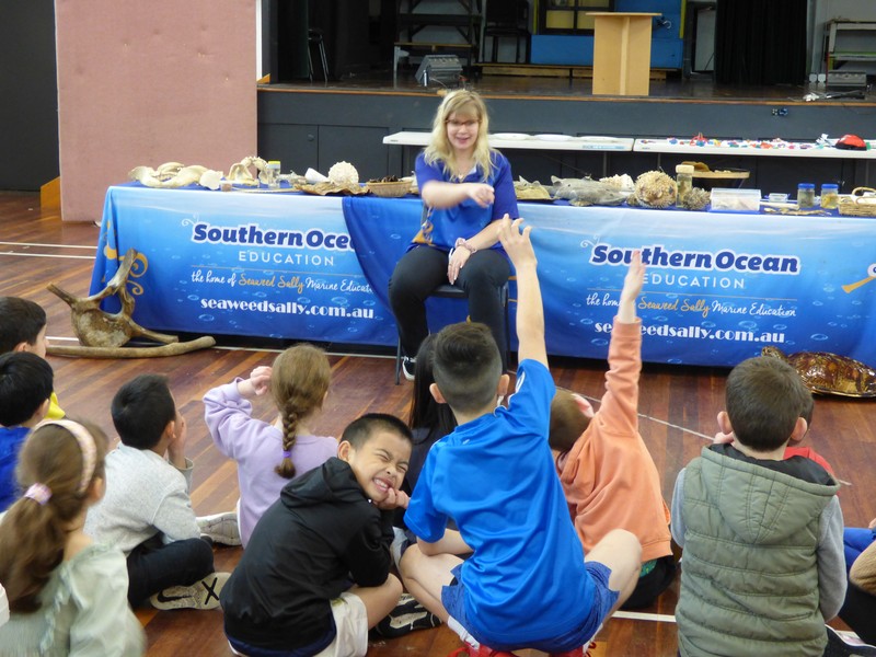 Kids learning about marine animals