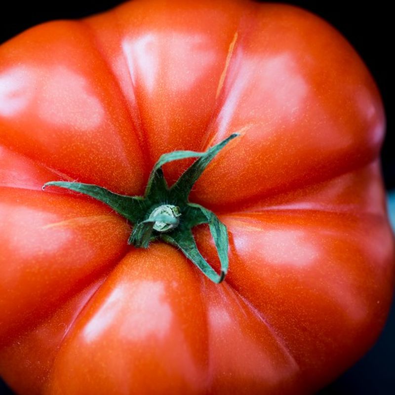 Tomatlinssås