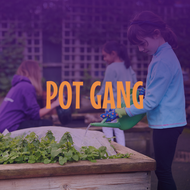 Website - Pot Gang