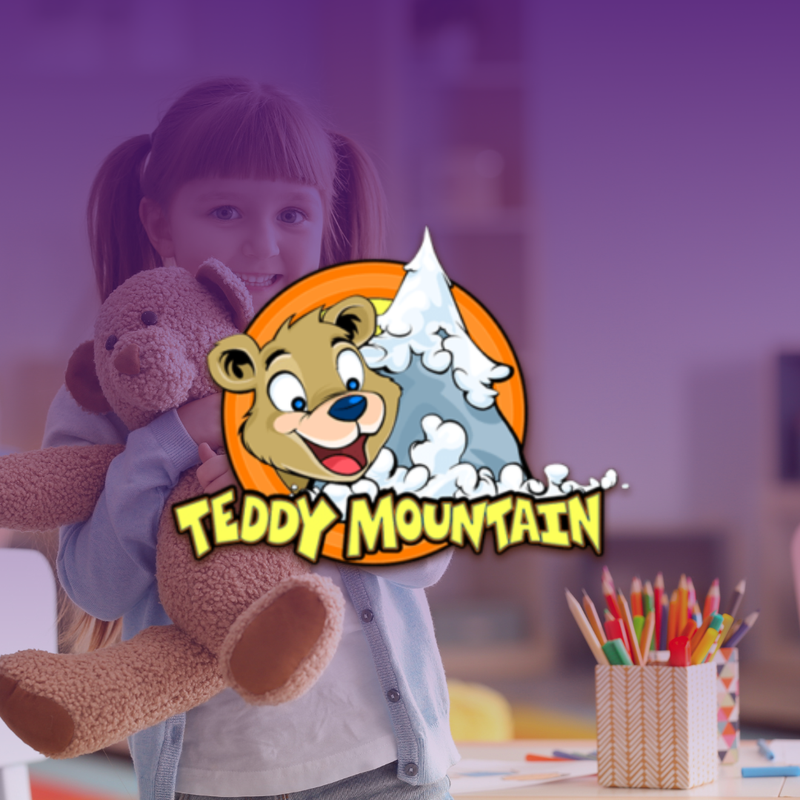 Website - Teddy Mountain