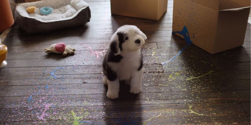 dulux life is what you paint it ogilvy uk