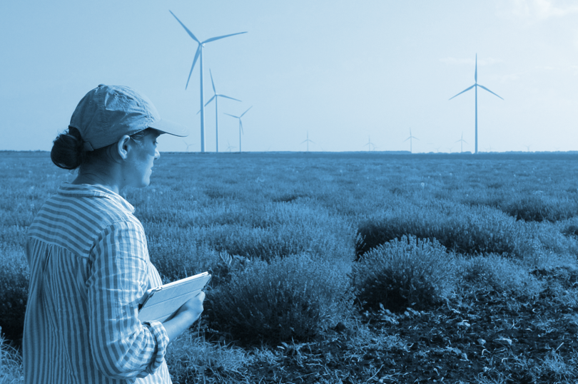 woman with ipad walking through field with wind turbines