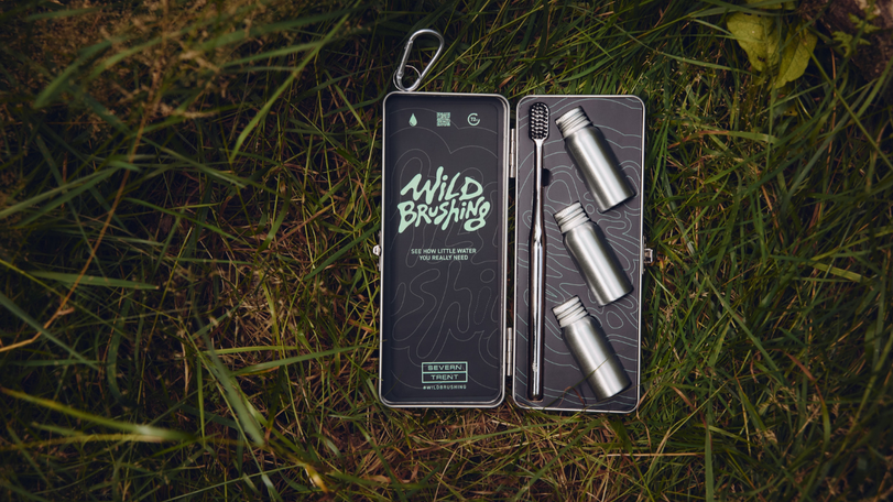 Wildbrushing pack