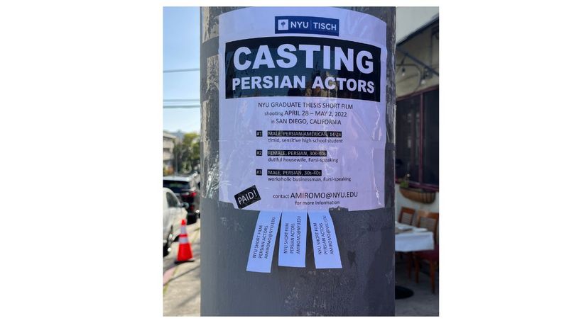 Persian flyer