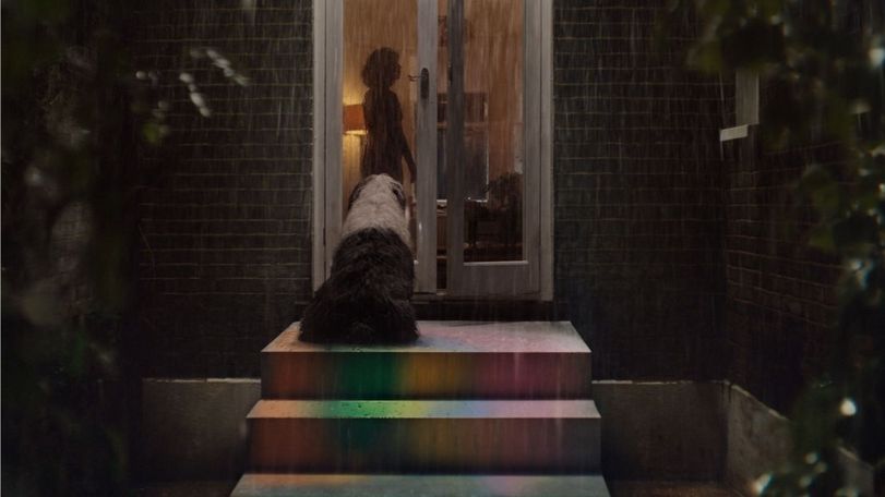 dulux life is what you paint it ogilvy uk