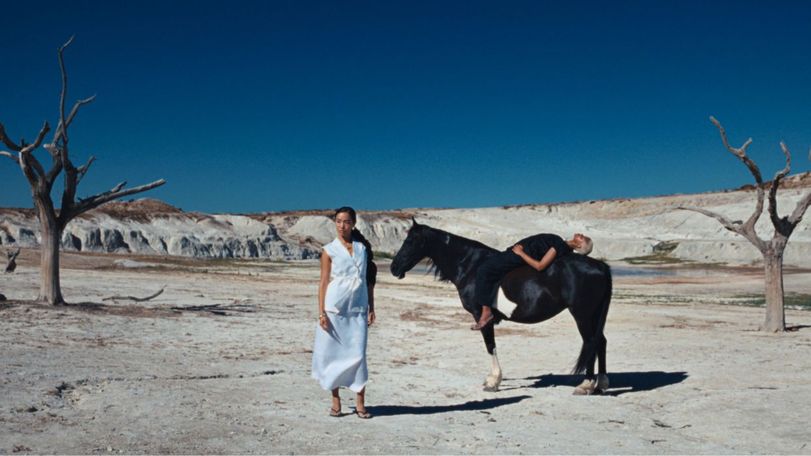 primark shockingly chic vccp