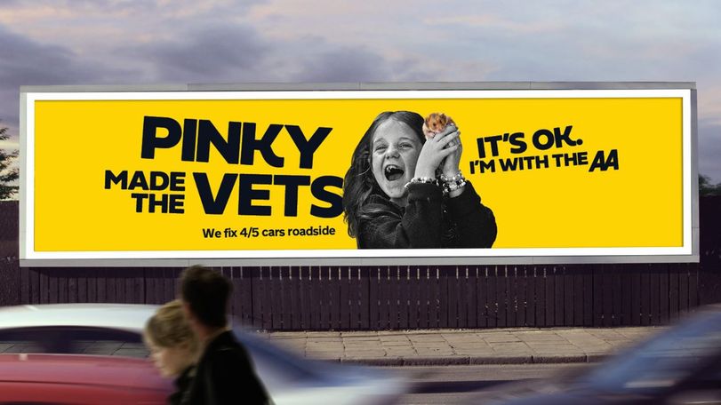 pinky the gate the aa