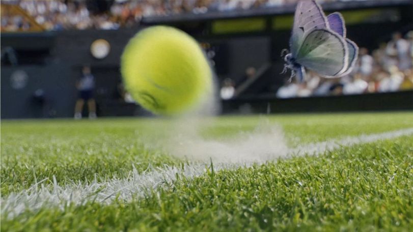 wimbledon 2026 vccp