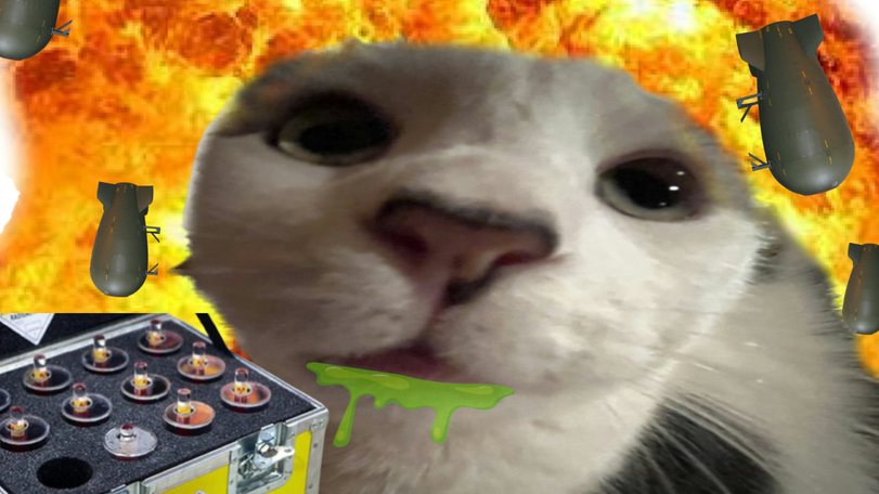 Memes
