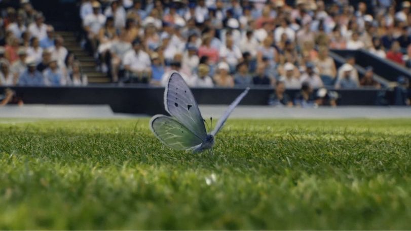 wimbledon 2026 vccp