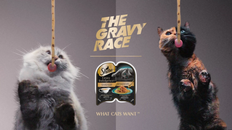 Sheba The Gravy Race