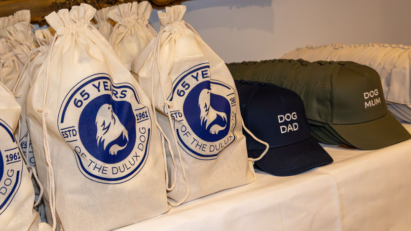 Dulux merch