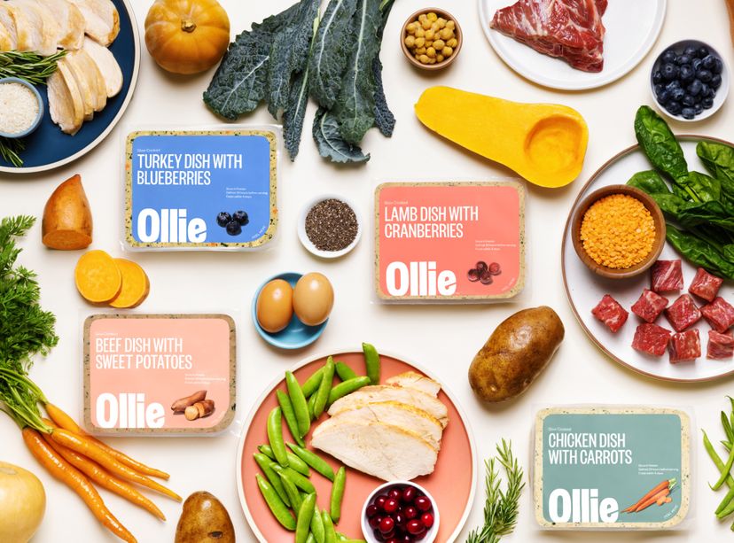 ollie-healthier-human-grade-dog-food-delivery