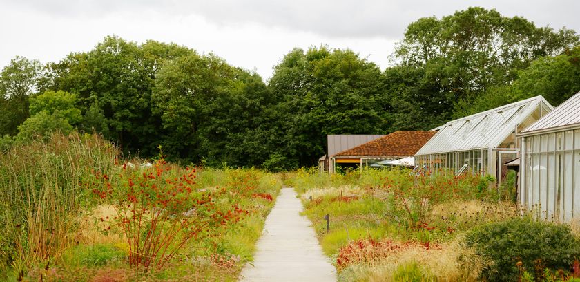 Der Garten des weltberühmten Restaurants Noma